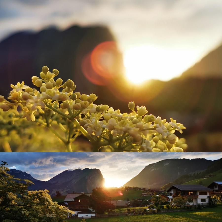 Ferienwohnung Urlaub bei Moses Schoppernau Exterior foto