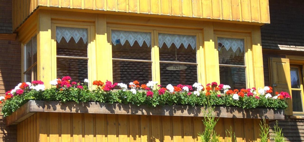 Ferienwohnung Urlaub bei Moses Schoppernau Exterior foto