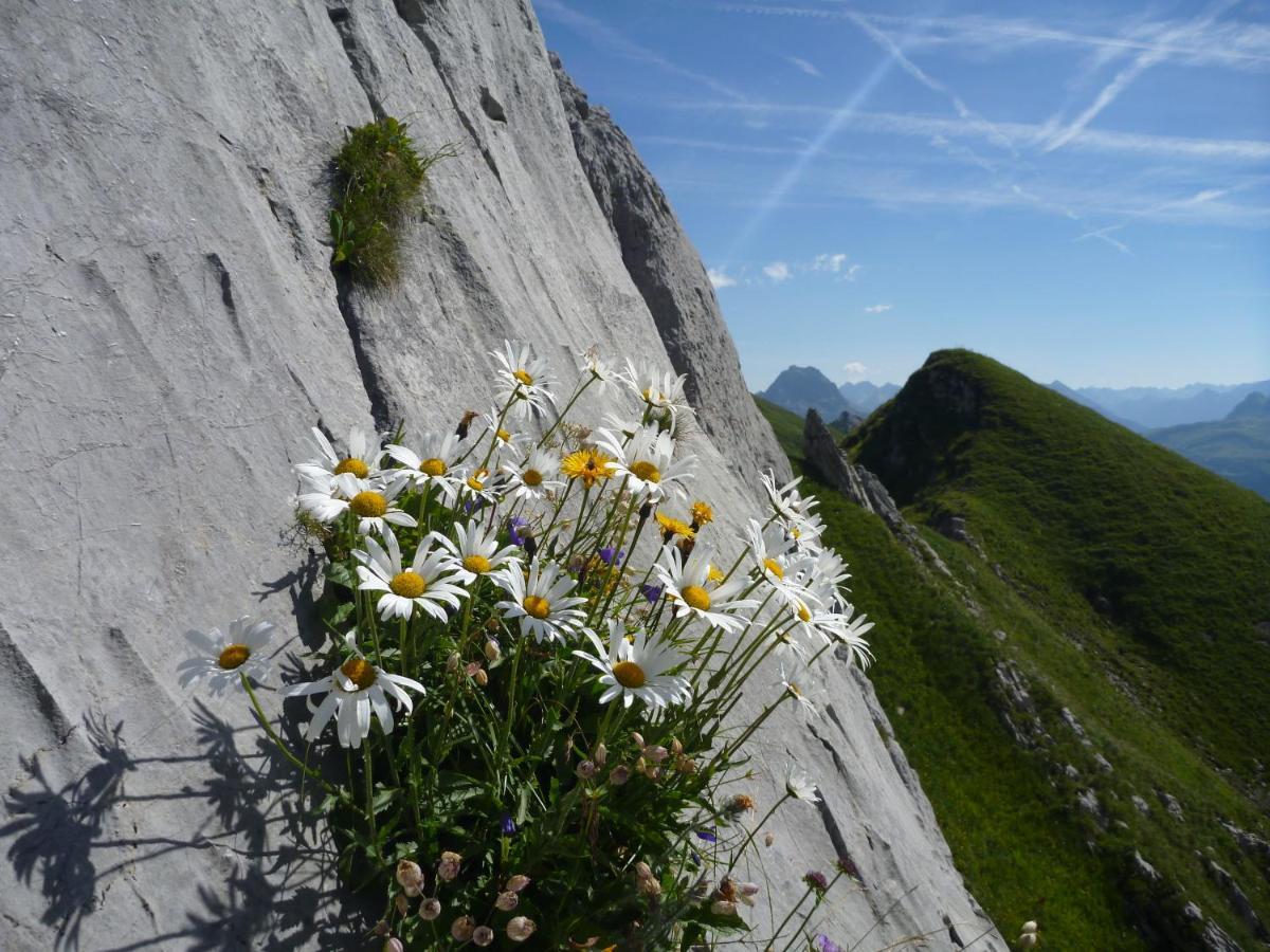 Ferienwohnung Urlaub bei Moses Schoppernau Exterior foto