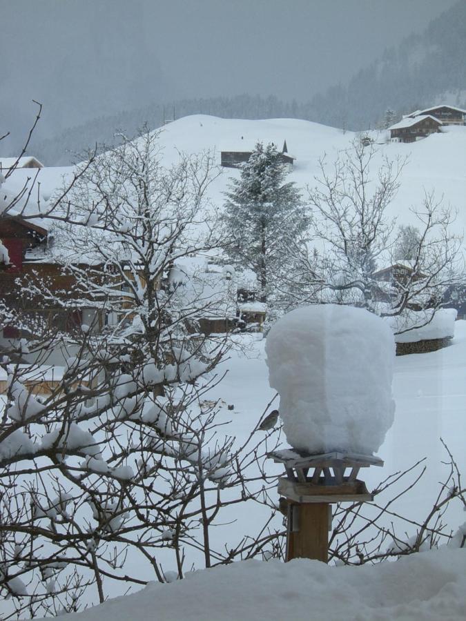 Ferienwohnung Urlaub bei Moses Schoppernau Exterior foto